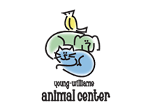 Featured image for “YOUNG-WILLIAMS ANNOUNCES SPAY/NEUTER SOLUTION PRICES”