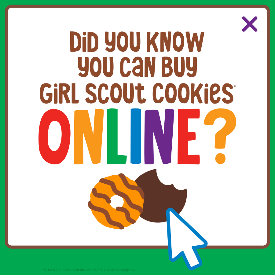 Featured image for “Girl Scouts of the Southern Appalachians offers online ordering for Girl Scout cookies”