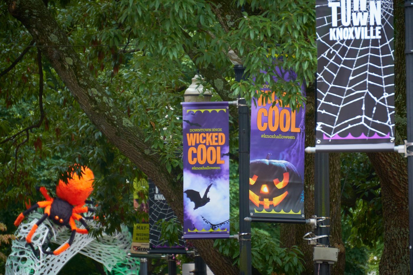 Featured image for “Downtown Knoxville features ‘Wicked Cool’ experiences Oct. 15-31”