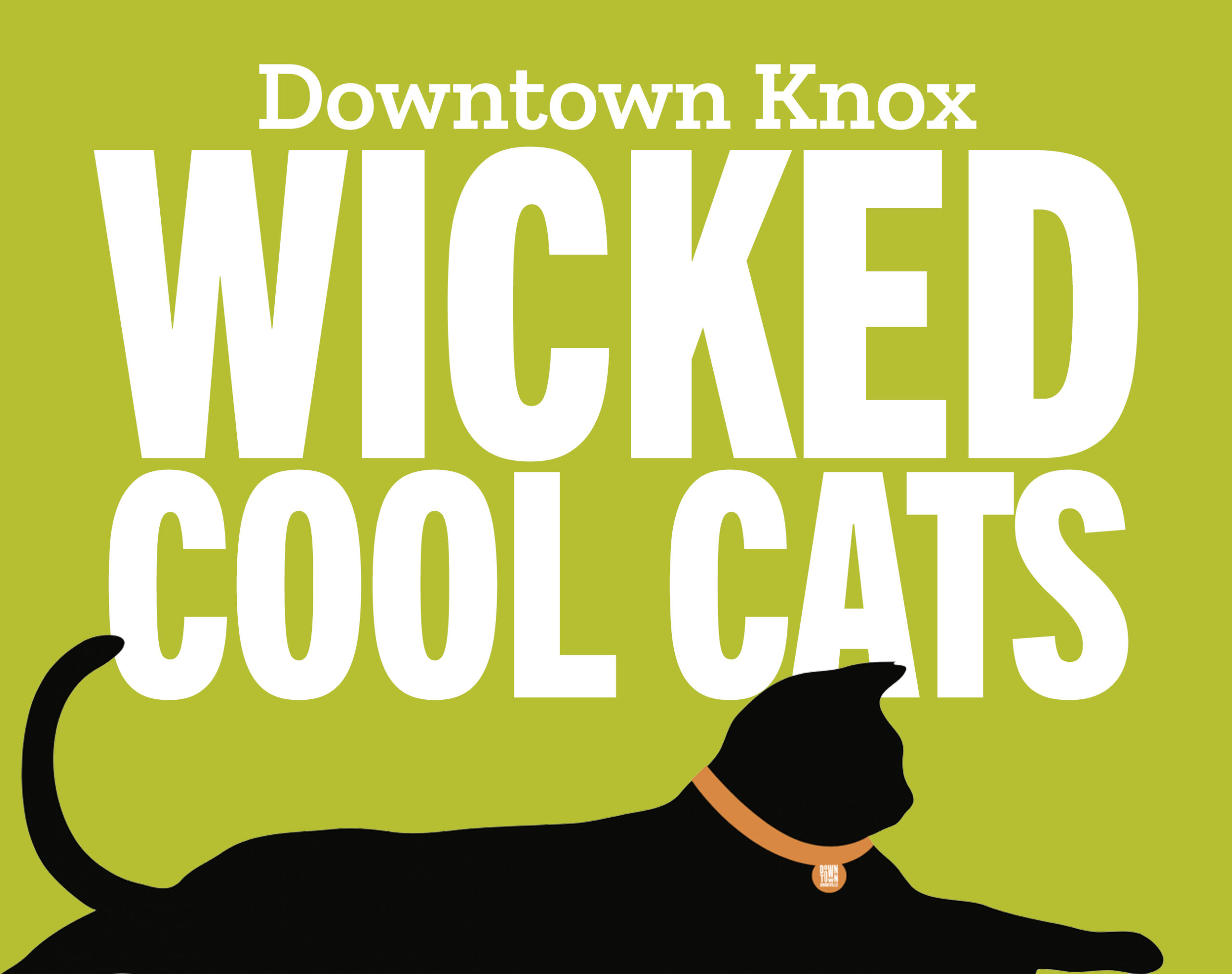 Featured image for “Downtown Knoxville to light up with return of Wicked Cool in October”