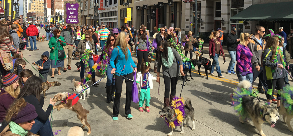 Featured image for “Last call for pre-registration: Beads, boas and barks return to downtown Knoxville on Saturday, March 7, for Young-Williams Animal Center’s Mardi Growl”