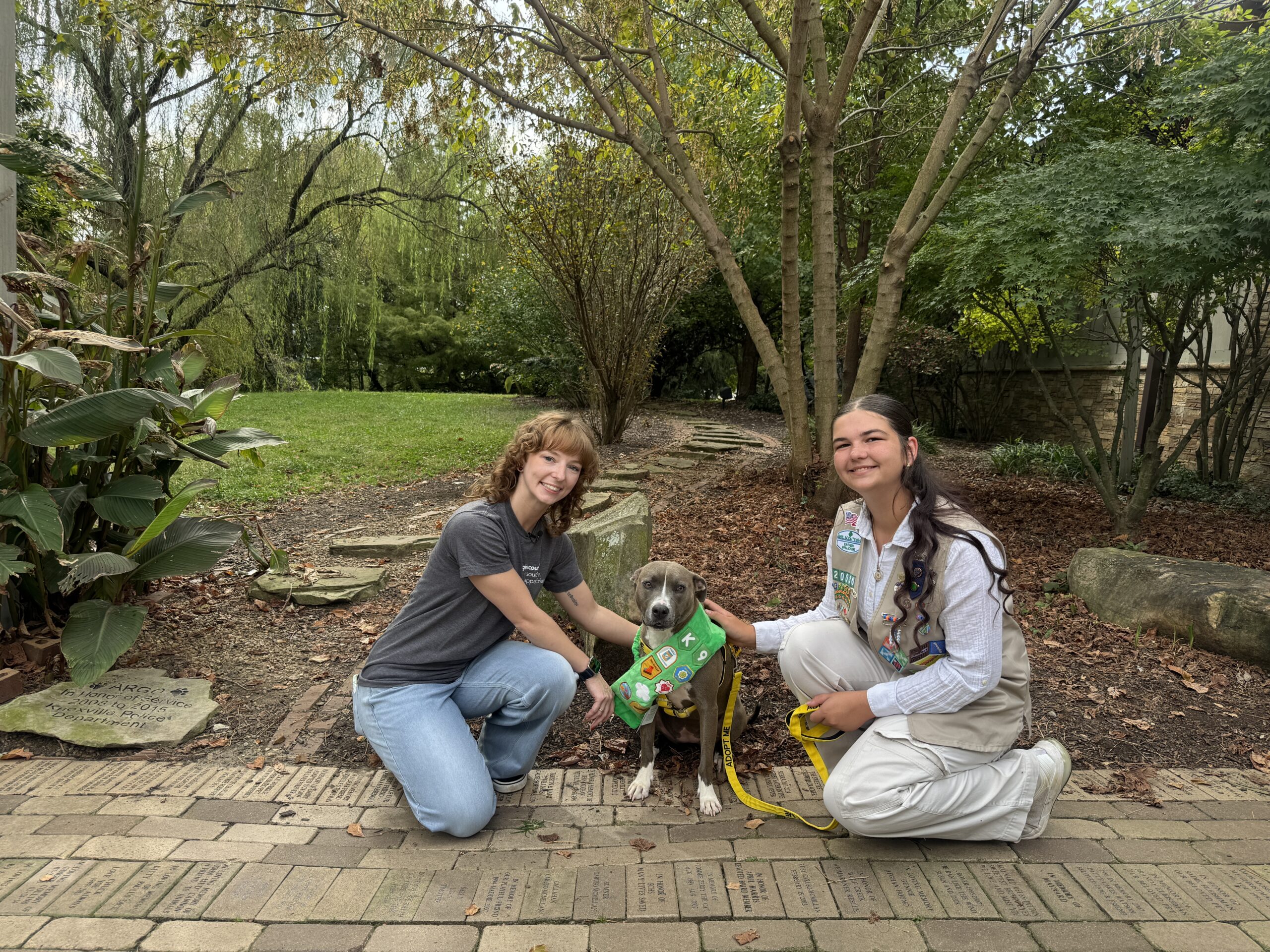 Featured image for “Girl Scouts partners with Smyth Animal Rescue to send BarkBoxes to shelter dogs”